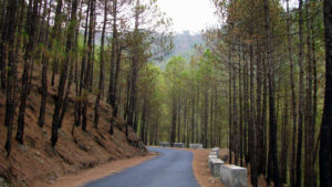 Pangot , Uttarakhand