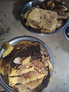 original-honey-in-uttarakhand